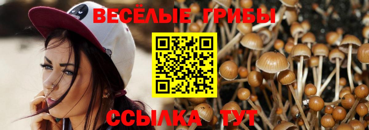 Псилоцибиновые грибы Psilocybine cubensis Углич