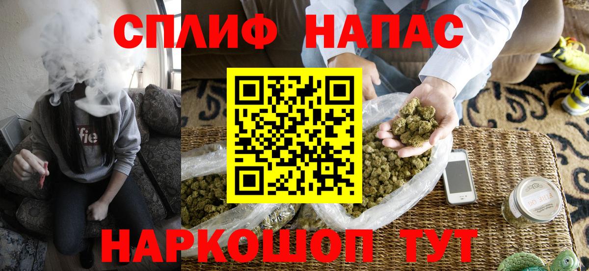 МАРИХУАНА ГИДРОПОН  Каннабис MAZAR  Углич  Вход с VPN 